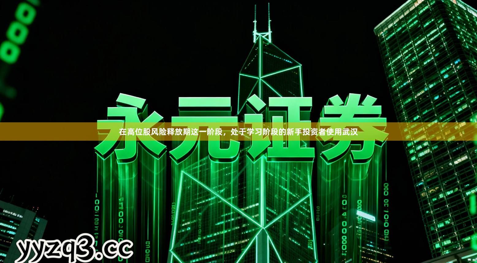 在高位股风险释放期这一阶段，处于学习阶段的新手投资者使用武汉